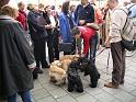 Amerikanendag 2005 003